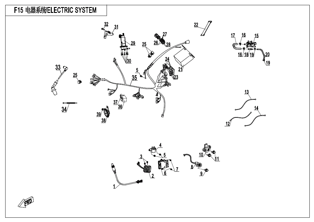 ELECTRIC SYSTEM - F15