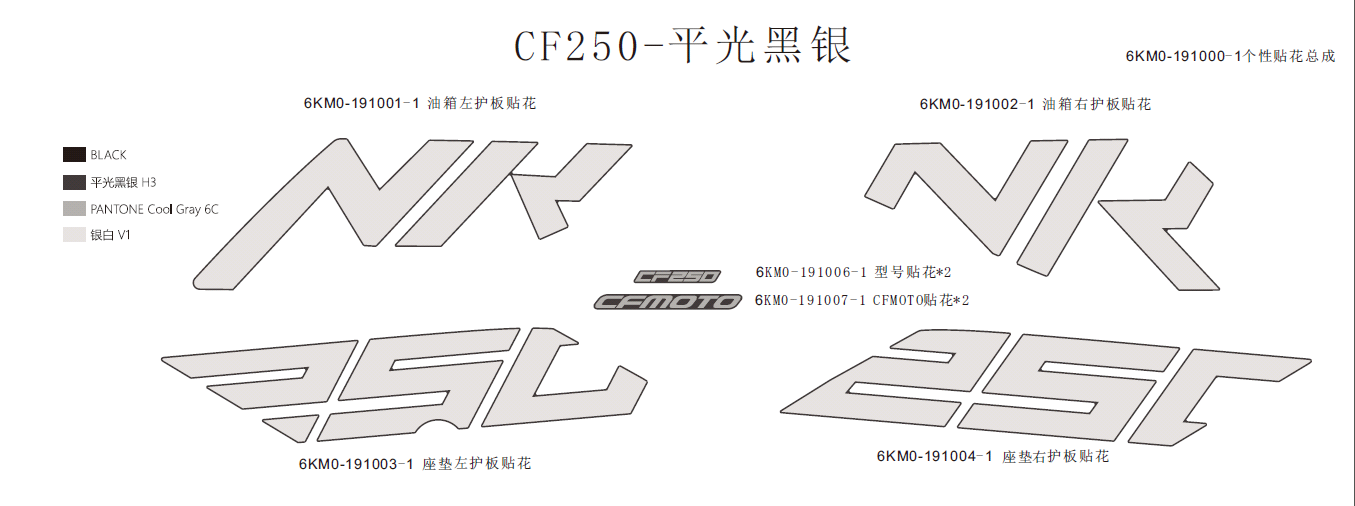 DECAL(MATTE SILVER BLACK) - F19-C