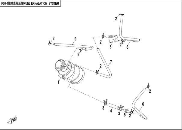 FUEL VAPOR SYSTEM - F36-1-ABS