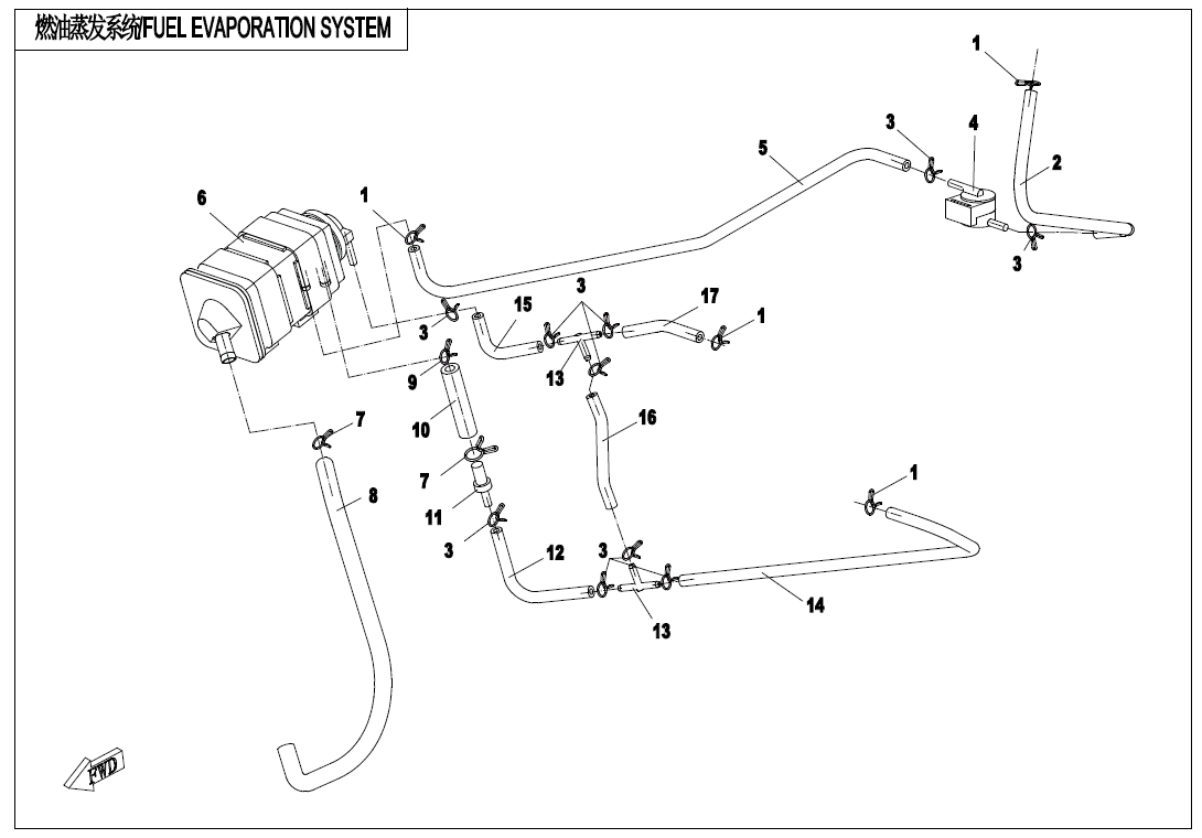 FUEL EVAPORATION SYSTEM - F36