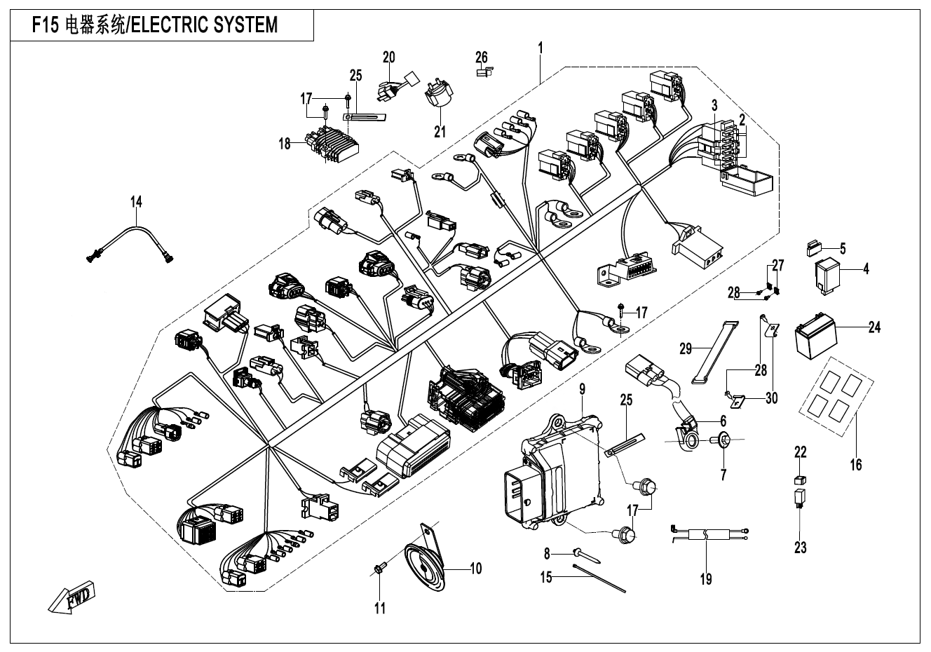 ELECTRIC SYSTEM - F15