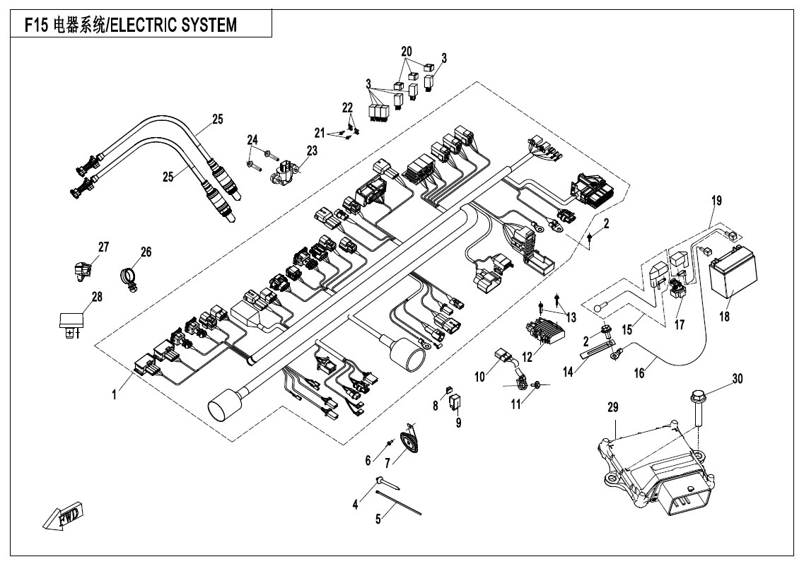 ELECTRIC SYSTEM - F15