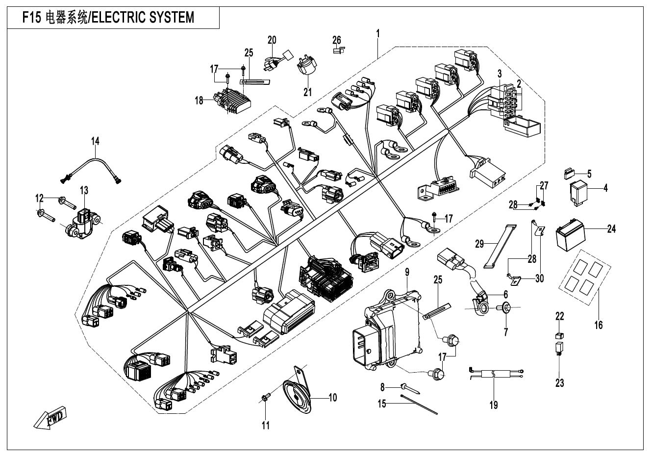ELECTRIC SYSTEM - F15