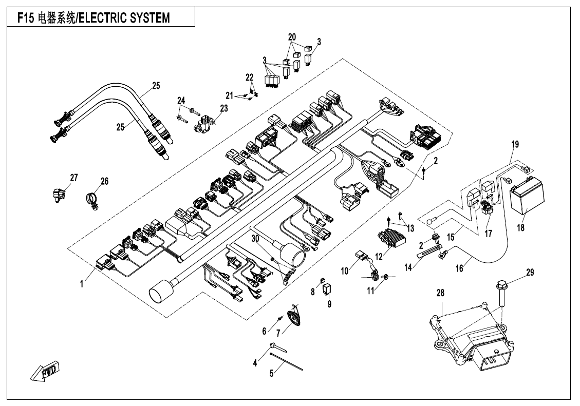 ELECTRIC SYSTEM - F15
