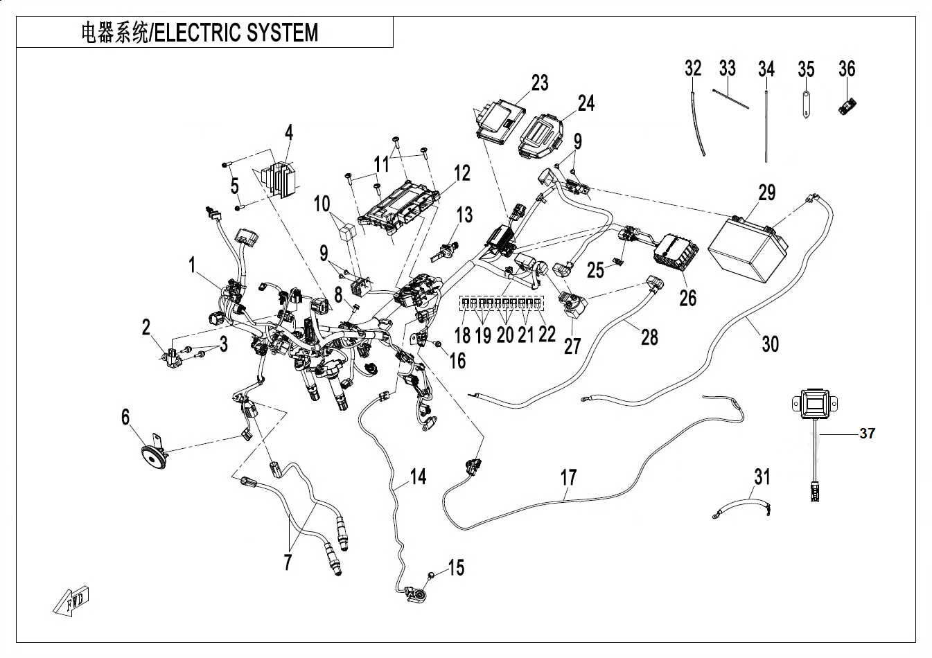 ELECTRIC SYSTEMï¼ADVANCEDï¼ - F15-B