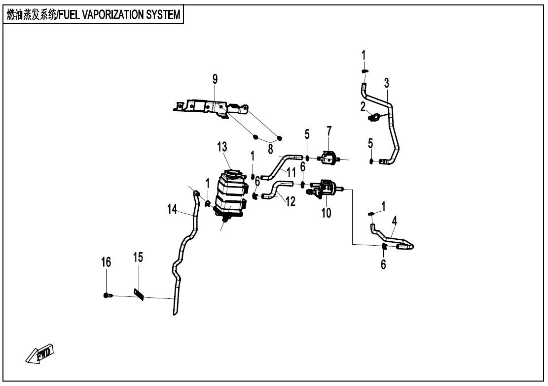 FUEL VAPOPIN SYSTEM - F36