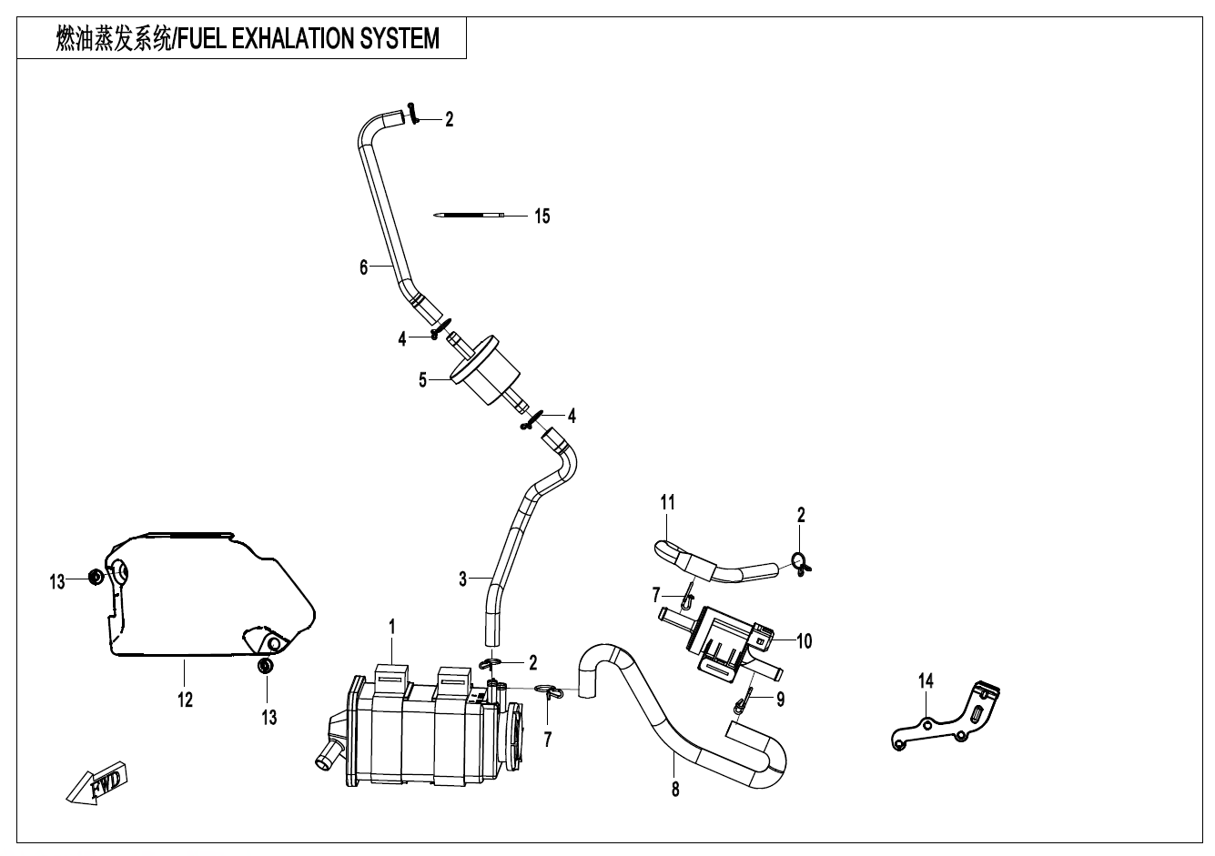 FUEL EVAPORATION SYSTEM - F36