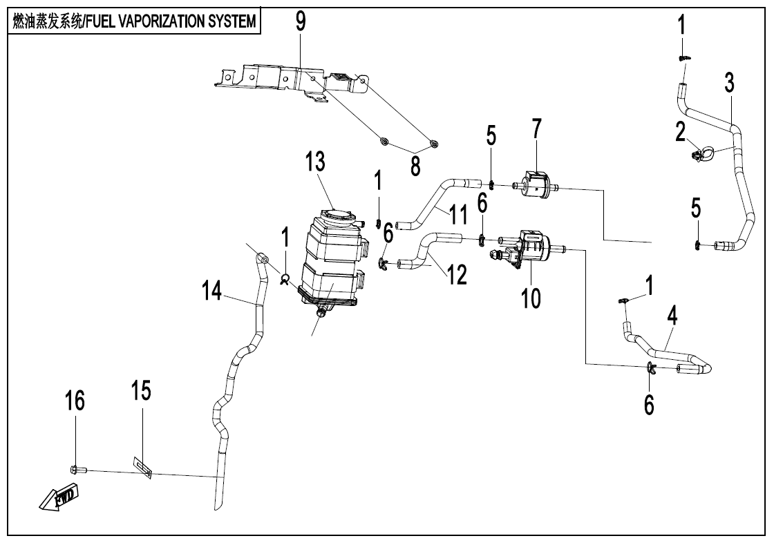 FUEL VAPOPIN SYSTEM - F36