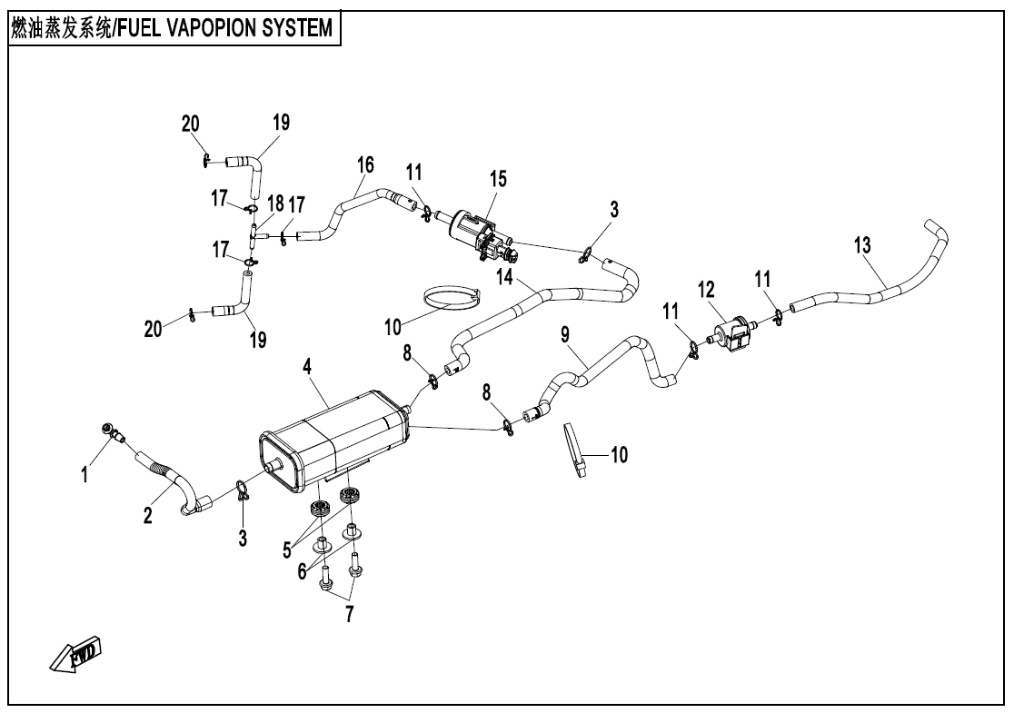 FUEL VAPOPIN SYSTEM - F36